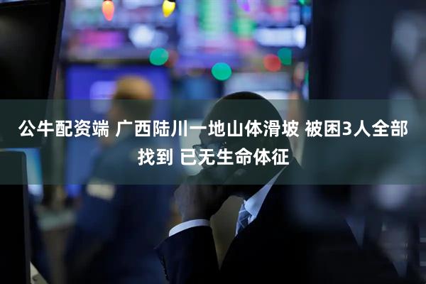 公牛配资端 广西陆川一地山体滑坡 被困3人全部找到 已无生命体征