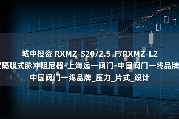 城中投资 RXMZ-S20/2.5-F/RXMZ-L20/2.5-F不锈钢双隔膜式脉冲阻尼器-上海远一阀门-中国阀门一线品牌_压力_片式_设计