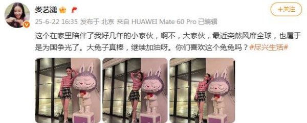 壹资网 娄艺潇晒巨型拉布布火爆全球，脸蛋变化引热议，她机智回应藏惊喜