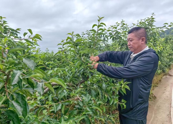 睿新策略 铭记历史 缅怀先烈丨烽起“磐石”传薪火——东北抗联创建地的振兴新篇