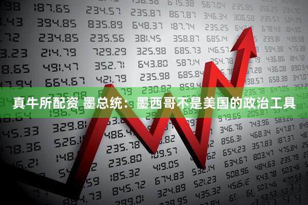 真牛所配资 墨总统：墨西哥不是美国的政治工具